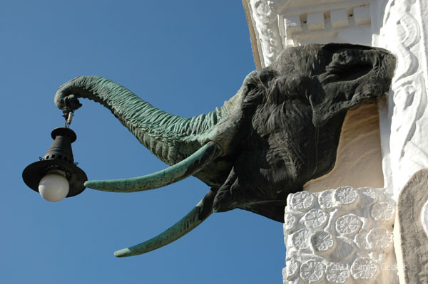 Bild des Tages vom 11.04.2026 Bild des Tages vom 11.04.2026