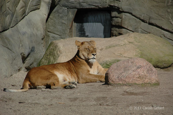 Bild des Tages vom 12.04.2026 Bild des Tages vom 12.04.2026