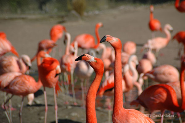 Bild des Tages vom 19.04.2026