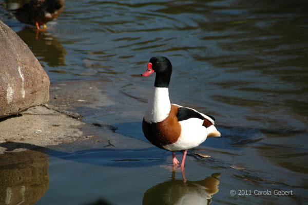 Bild des Tages vom 20.04.2026