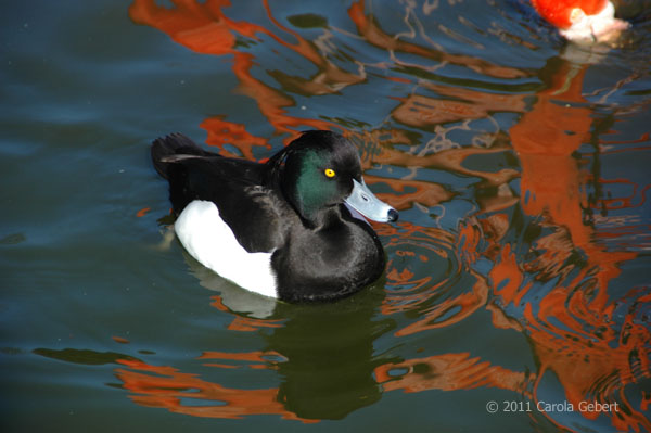 Bild des Tages vom 21.04.2026