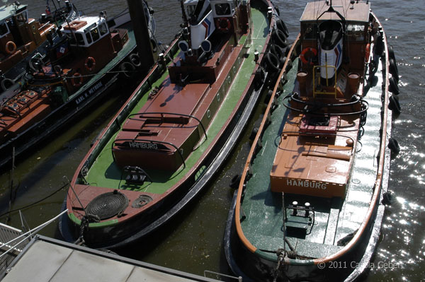 Bild des Tages vom 25.04.2026