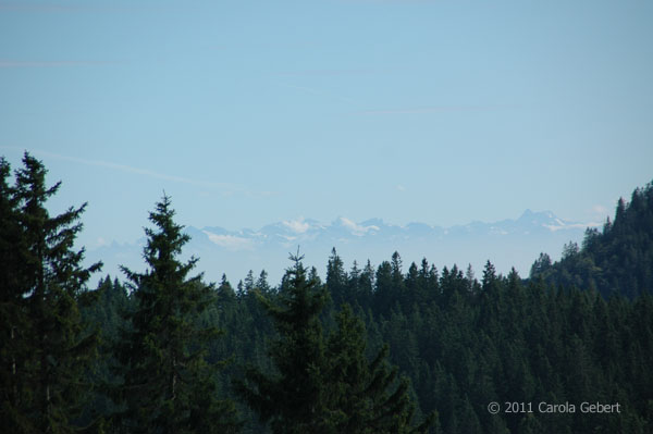Bild des Tages vom 02.10.2026