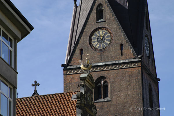 Bild des Tages vom 11.11.2025