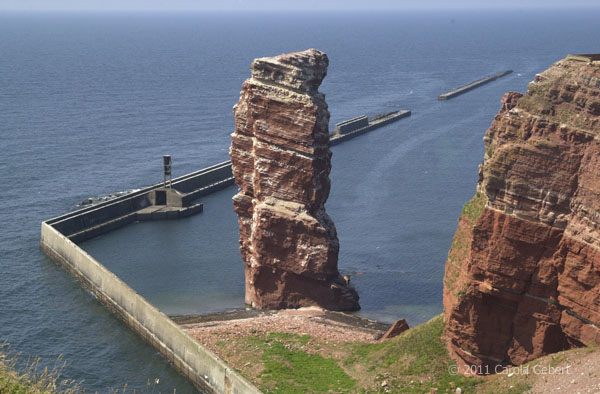 Bild des Tages vom 01.02.2026 Bild des Tages vom 01.02.2026