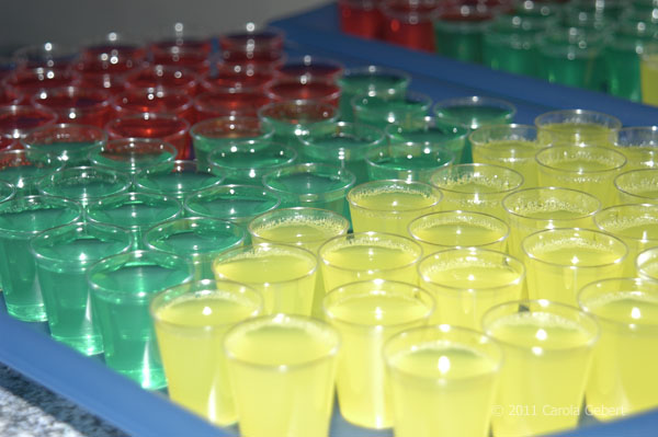 Bild des Tages vom 18.11.2025