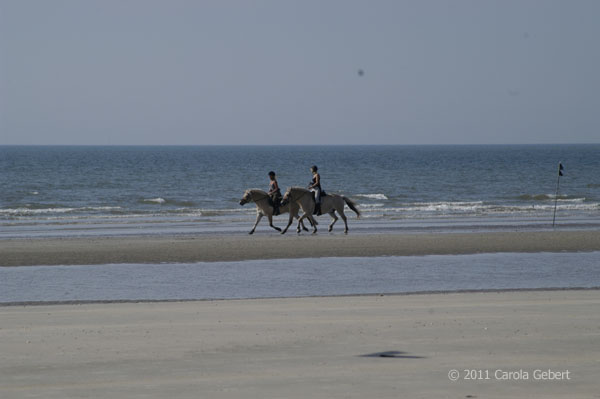 Bild des Tages vom 21.11.2025