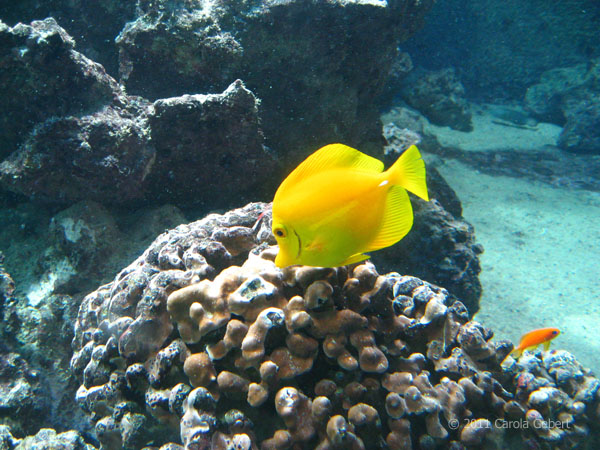 Bild des Tages vom 23.12.2025