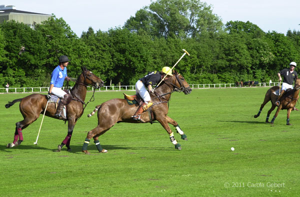 Bild des Tages vom 12.02.2026