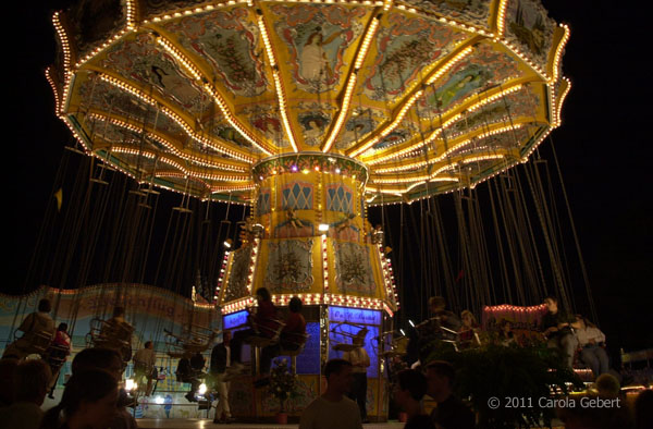 Bild des Tages vom 15.02.2026