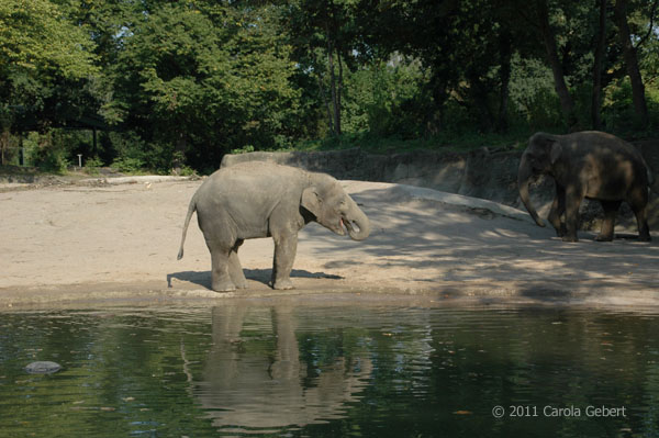 Bild des Tages vom 22.02.2026 Bild des Tages vom 22.02.2026
