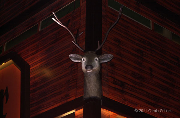 Bild des Tages vom 27.03.2026