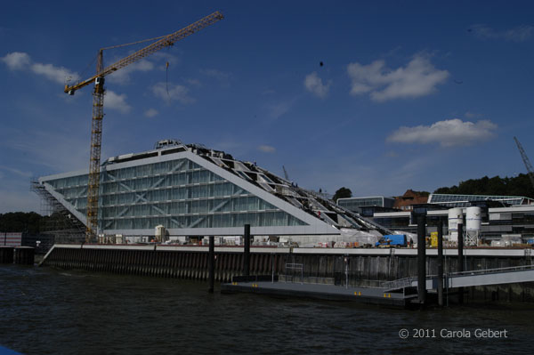 Bild des Tages vom 08.04.2026 Bild des Tages vom 08.04.2026